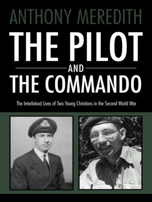 Cover of the book The Pilot and the Commando by Anthony Meredith, AuthorHouse UK