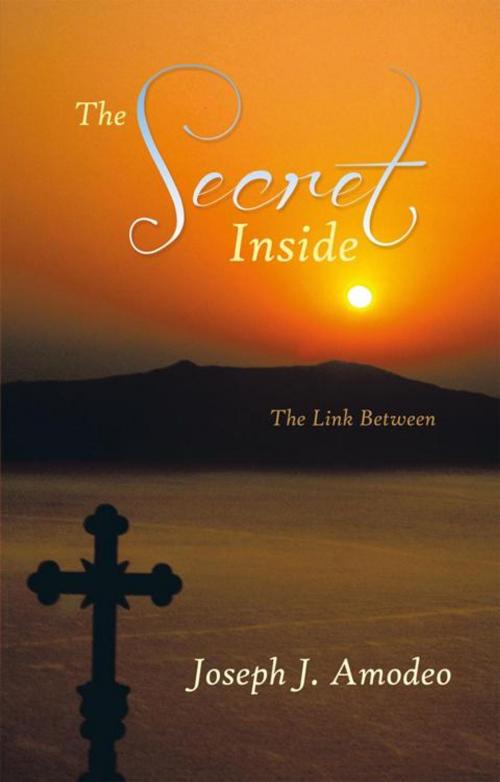 Cover of the book The Secret Inside by Joseph J. Amodeo, AuthorHouse