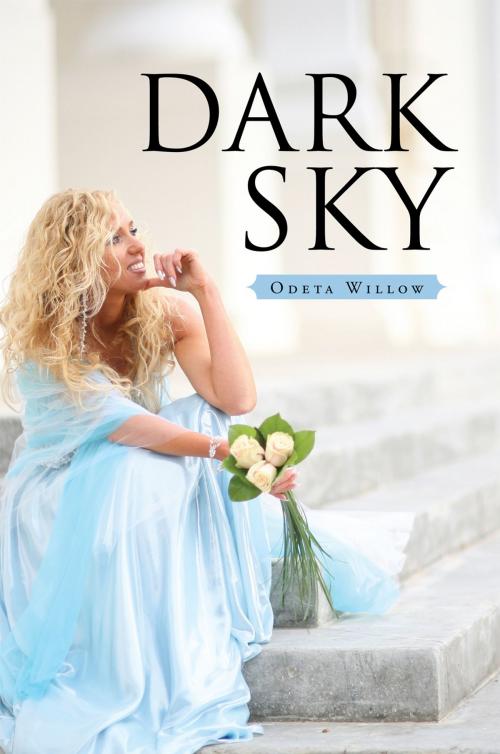 Cover of the book Dark Sky by Odeta Willow, Xlibris UK