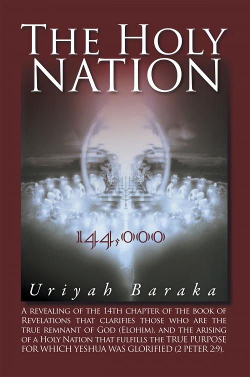 Cover of the book The Holy Nation by Eric Robinson, Xlibris US
