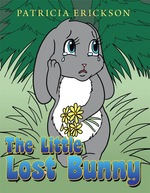 Cover of the book The Little Lost Bunny by Patricia Erickson, AuthorHouse
