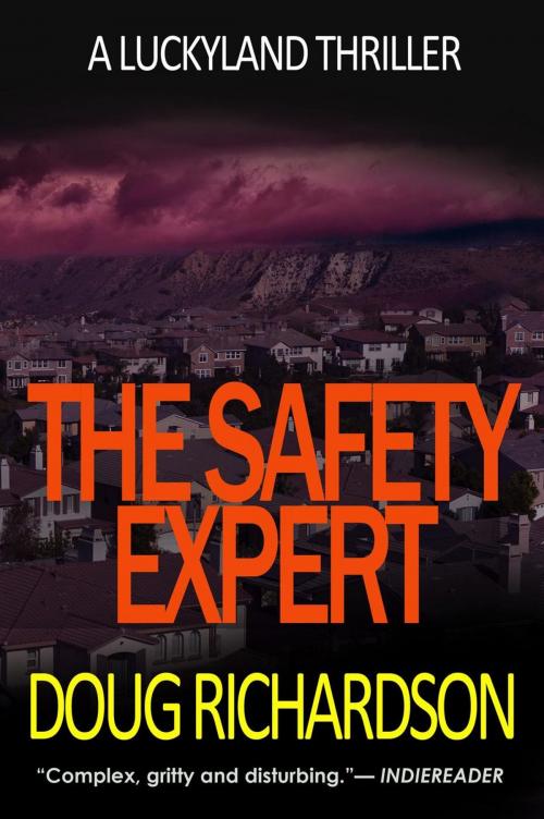 Cover of the book The Safety Expert: A Luckyland Thriller by Doug Richardson, Velvet Elvis Entertainment
