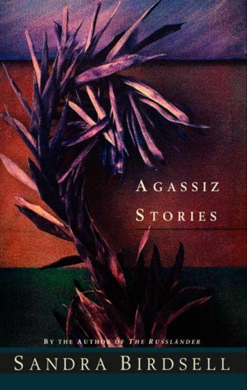 Cover of the book Agassiz Stories by Sandra Birdsell, McClelland & Stewart