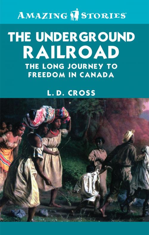 Cover of the book The Underground Railroad by L.D. Cross, James Lorimer & Company Ltd., Publishers