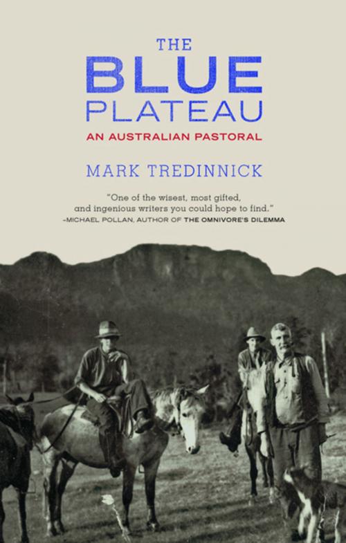 Cover of the book The Blue Plateau by Mark Tredinnick, Milkweed Editions