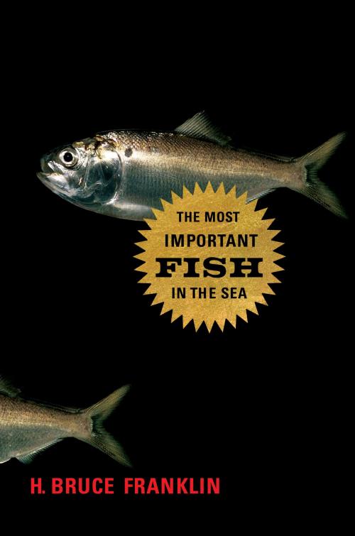 Cover of the book The Most Important Fish in the Sea by H. Bruce Franklin, Island Press