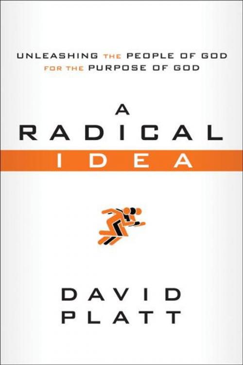 Cover of the book A Radical Idea by David Platt, The Crown Publishing Group