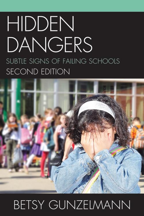 Cover of the book Hidden Dangers by Betsy Gunzelmann, R&L Education