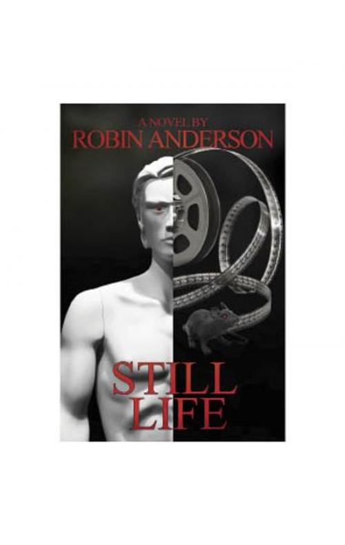 Cover of the book Still Life by Robin Anderson, The Nazca Plains Corporation