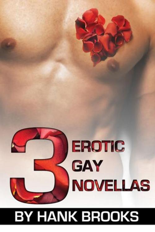 Cover of the book 3 Erotic Gay Novellas by Henry Brooks, The Nazca Plains Corporation