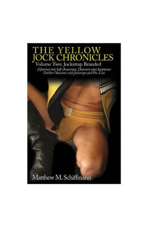 Cover of the book The Yellow Jockstrap Chronicles Volume 2 by Matthew M. Schiffmann, The Nazca Plains Corporation