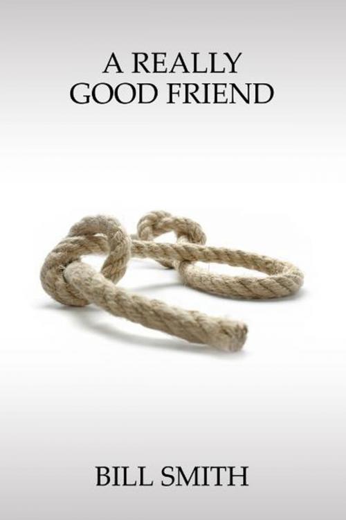 Cover of the book A Really Good Friend by Bill Smith, The Nazca Plains Corporation