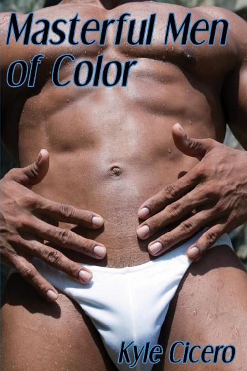 Cover of the book Masterful Men of Color by Kyle Cicero, The Nazca Plains Corporation