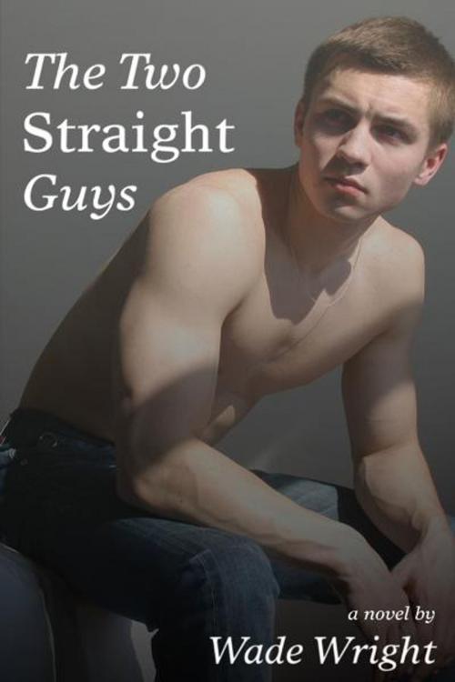 Cover of the book The Two Straight Guys by Wade Wright, The Nazca Plains Corporation