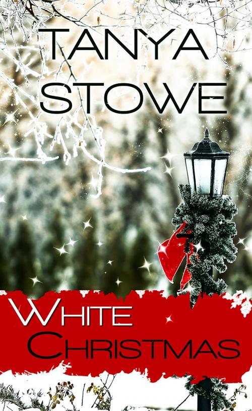 Cover of the book White Christmas by Tanya  Stowe, Pelican Book Group