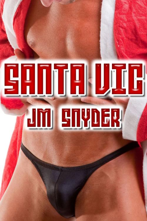 Cover of the book Santa Vic by J.M. Snyder, JMS Books LLC