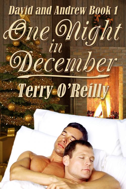 Cover of the book David and Andrew Book 1: One Night in December by Terry O'Reilly, JMS Books LLC