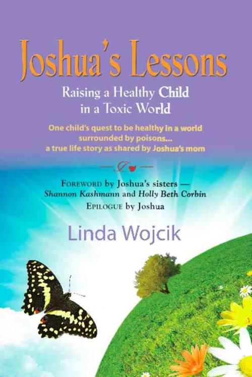 Cover of the book JOSHUA'S LESSONS: Raising a Healthy Child in a Toxic World by Linda Wojcik, BookLocker.com, Inc.