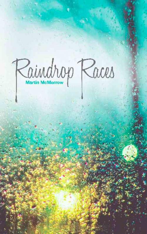 Cover of the book Raindrop Races by Martin McMorrow, BookLocker.com, Inc.