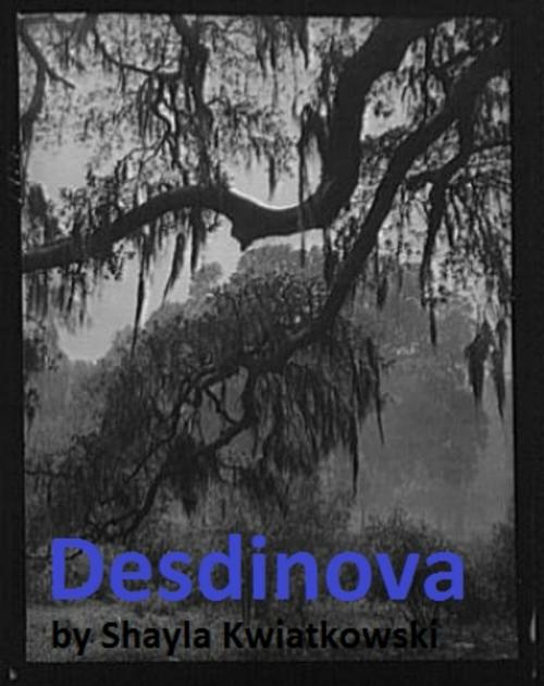 Cover of the book Desdinova by Shayla Kwiatkowski, BookBaby