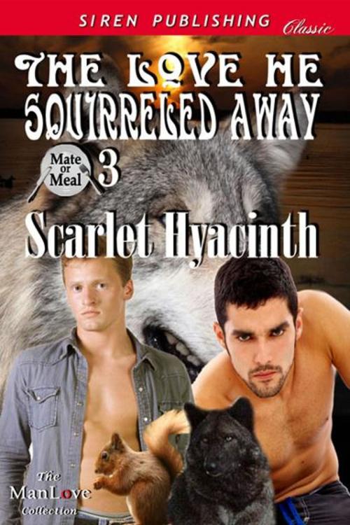 Cover of the book The Love He Squirreled Away by Scarlet Hyacinth, SirenBookStrand