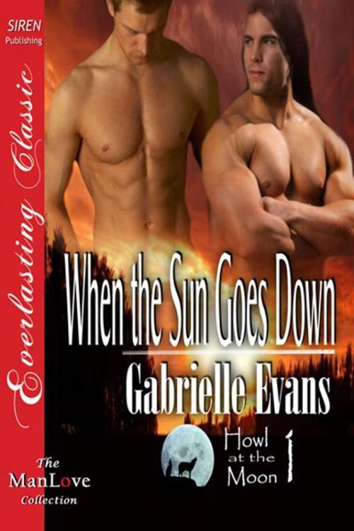 Cover of the book When the Sun Goes Down by Gabrielle Evans, SirenBookStrand