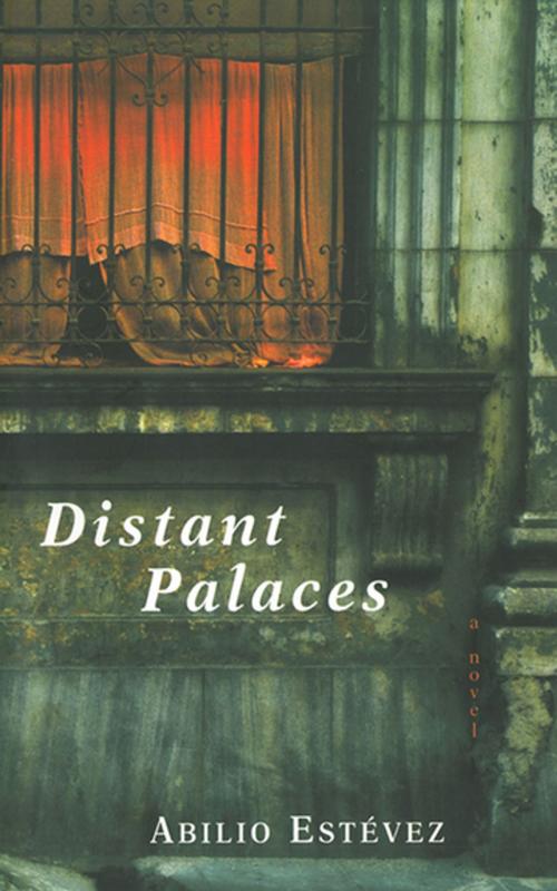Cover of the book Distant Palaces by Abilio Estévez, Skyhorse Publishing