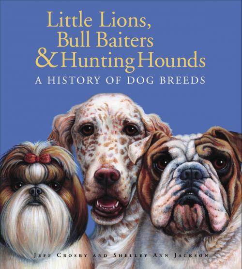 Cover of the book Little Lions, Bull Baiters & Hunting Hounds by Jeff Crosby, Shelley Ann Jackson, Tundra