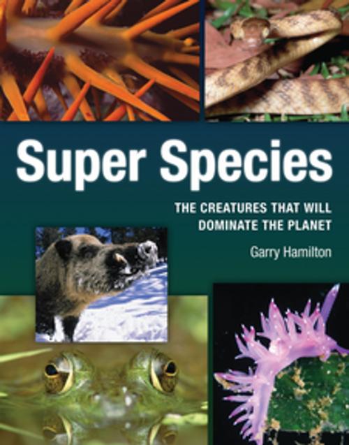 Cover of the book Super Species by Garry Hamilton, Firefly Books