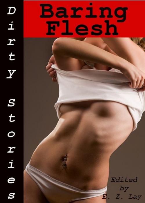 Cover of the book Dirty Stories: Baring Flesh, Erotic Tales by E. Z. Lay, Tales of Flesh Press