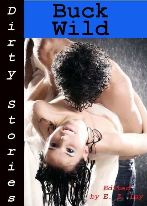 Cover of the book Dirty Stories: Buck Wild, Erotic Tales by E. Z. Lay, Tales of Flesh Press