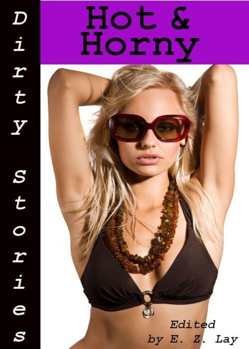 Cover of the book Dirty Stories: Hot & Horny, Erotic Tales by E. Z. Lay, Tales of Flesh Press