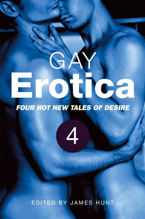 Cover of the book Gay Erotica, Volume 4 by James Hunt, Little, Brown Book Group