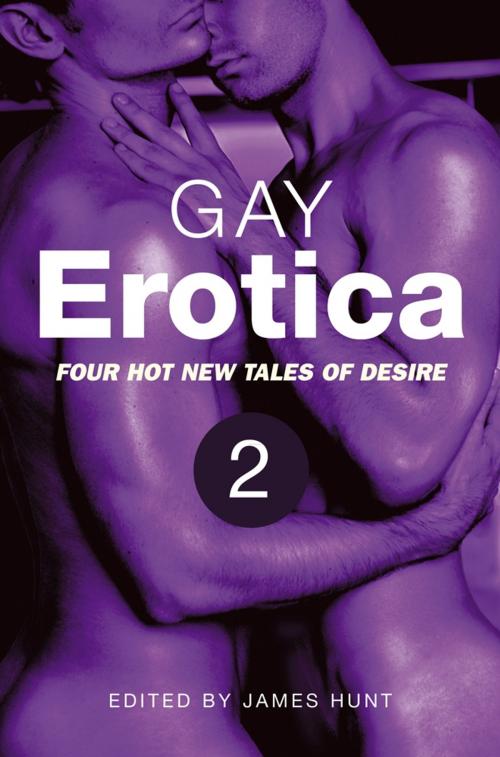 Cover of the book Gay Erotica, Volume 2 by James Hunt, Little, Brown Book Group