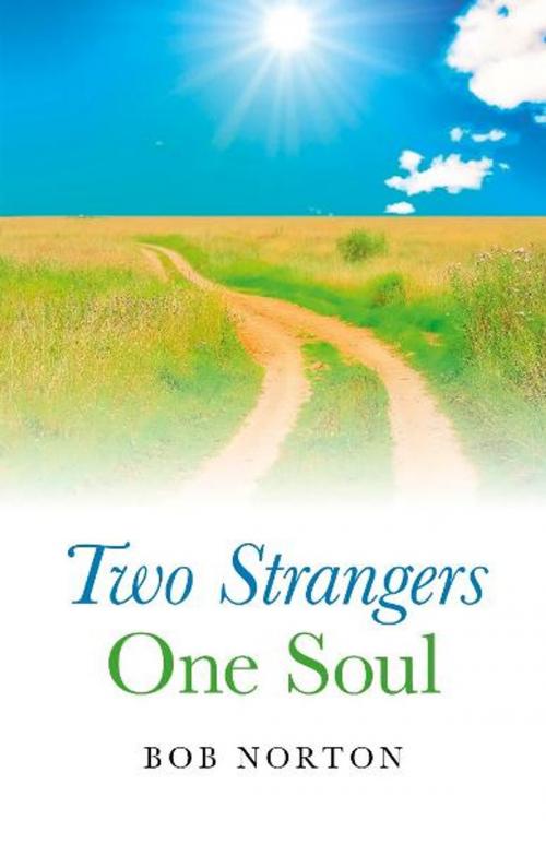 Cover of the book Two Strangers - One Soul by Bob Norton, John Hunt Publishing