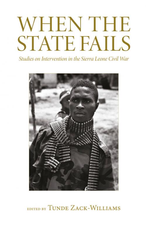Cover of the book When the State Fails by , Pluto Press