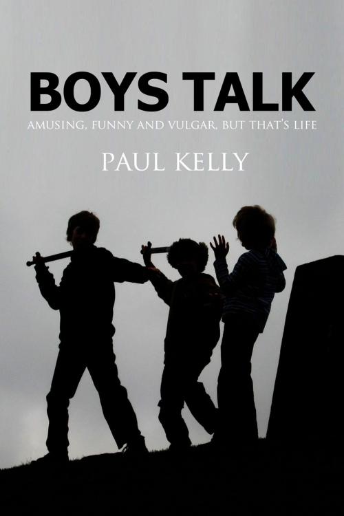 Cover of the book Boys Talk by Paul Kelly, Andrews UK