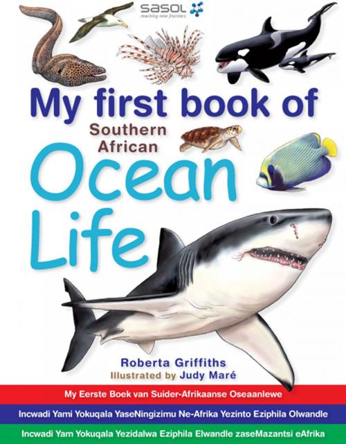 Cover of the book My first book of Southern African Ocean Life by Roberta Griffiths, Penguin Random House South Africa