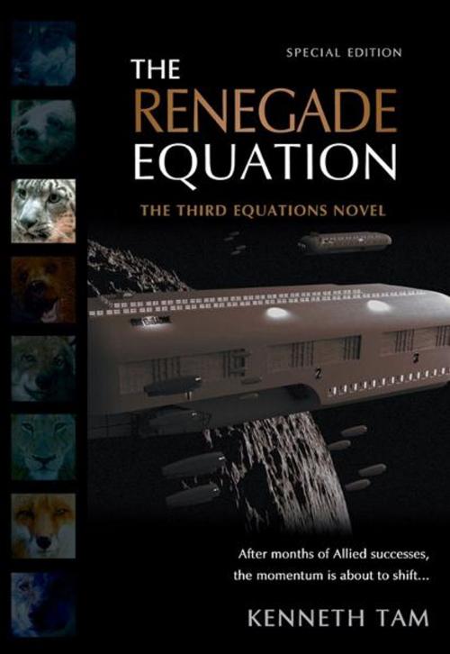 Cover of the book The Renegade Equation by Kenneth Tam, Iceberg Publishing