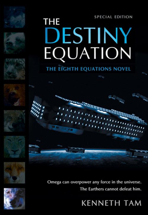 Cover of the book The Destiny Equation by Kenneth Tam, Iceberg Publishing