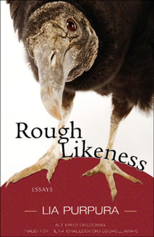 Cover of the book Rough Likeness by Lia Purpura, Sarabande Books