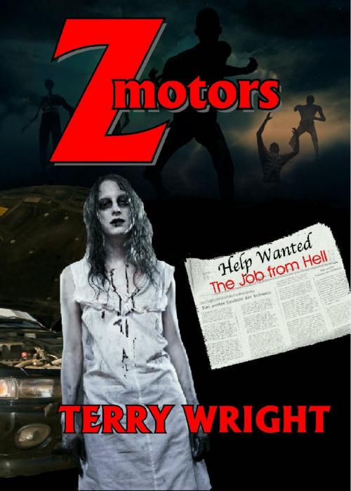 Cover of the book Z-motors by Terry Wright, TWB Press