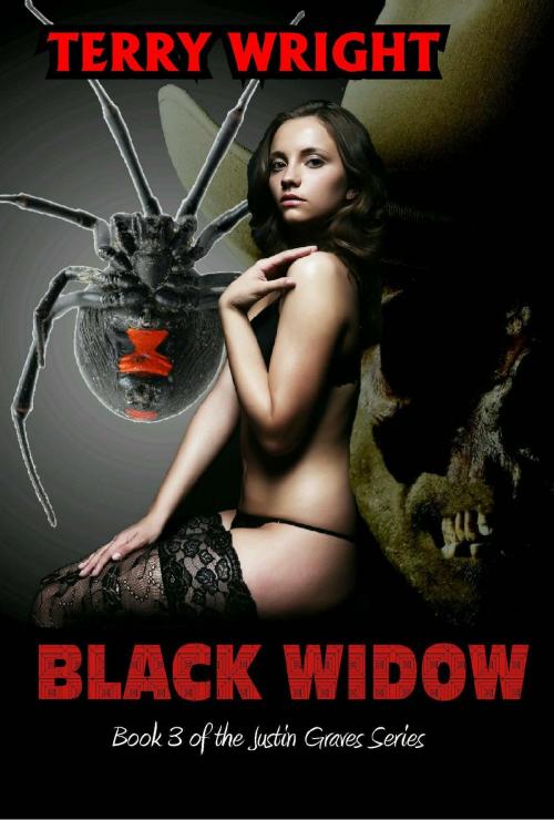 Cover of the book Black Widow by Terry Wright, TWB Press