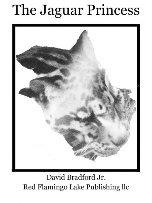 Cover of the book The Jaguar Princess by David Bradford Jr., Red Flamingo Lake Publishing llc