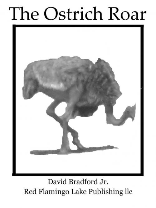 Cover of the book The Ostrich Roar by David Bradford Jr., Red Flamingo Lake Publishing llc