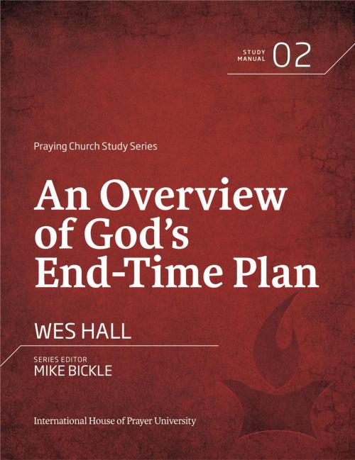 Cover of the book An Overview of God's End-Time Plan by Wes Hall, Forerunner Publishing