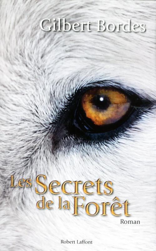 Cover of the book Les secrets de la forêt by Gilbert BORDES, Groupe Robert Laffont