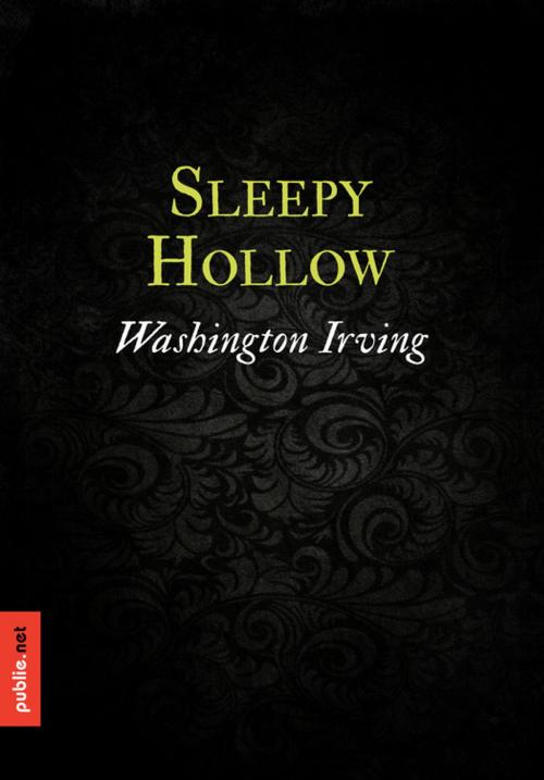 Cover of the book Sleepy Hollow by Washington Irving, publie.net