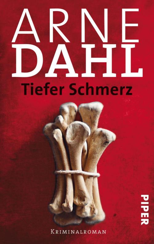 Cover of the book Tiefer Schmerz by Arne Dahl, Piper ebooks