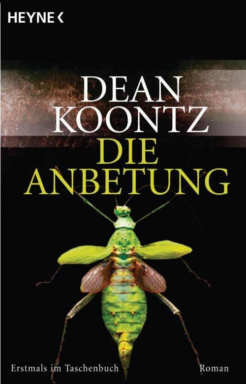 Cover of the book Die Anbetung by Dean Koontz, Heyne Verlag